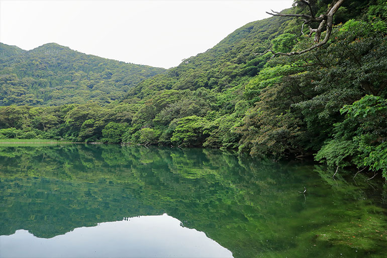 木々に囲まれた大きな水面の風景